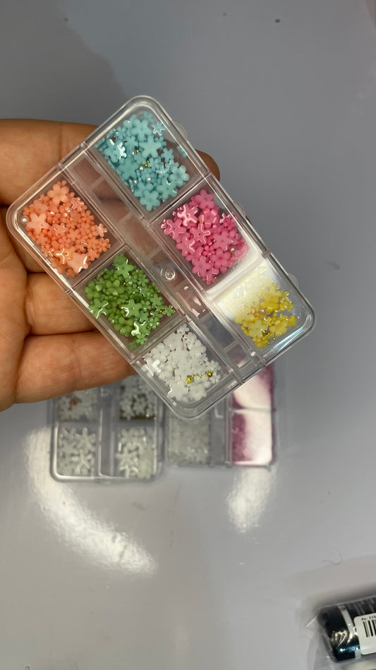 Marguerites mixtes 6 cases