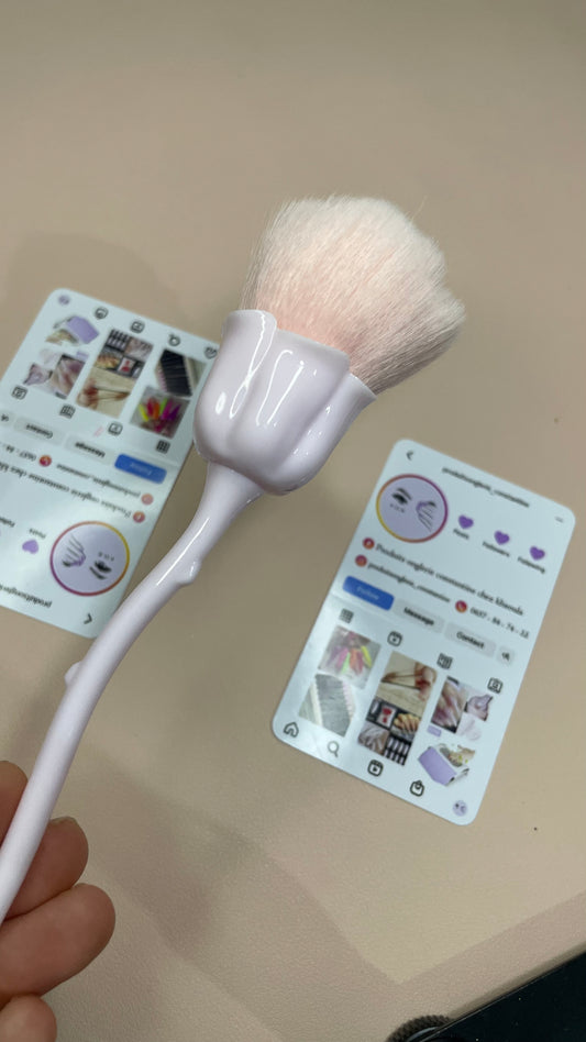 Brosse poussière Rose 🌹