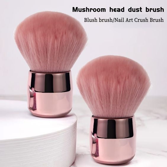 Brosse poussière