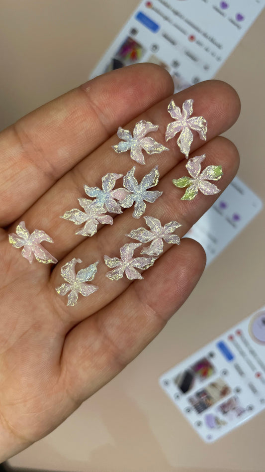 Décoration en acrylique 10 pcs