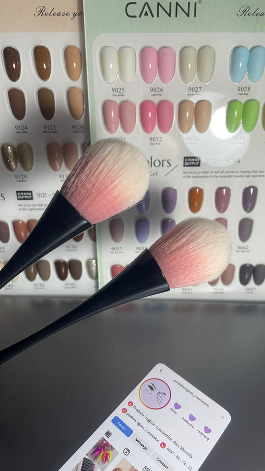 Brosse poussière x pink