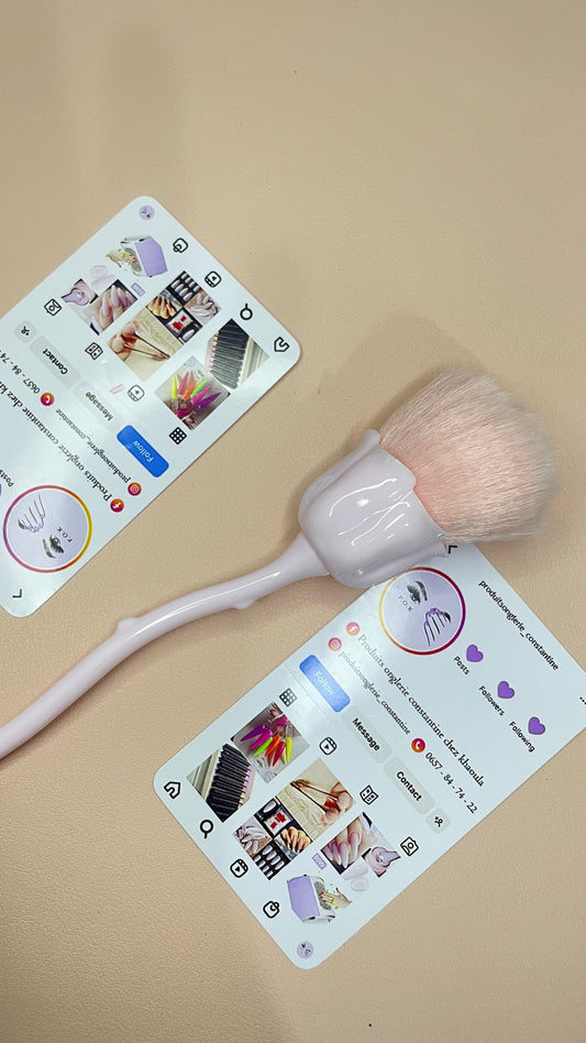 Brosse poussière Rose 🌹