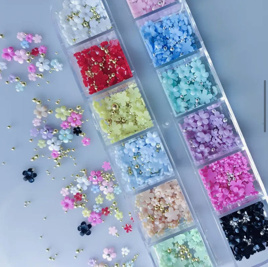 Marguerites mixte 12 cases