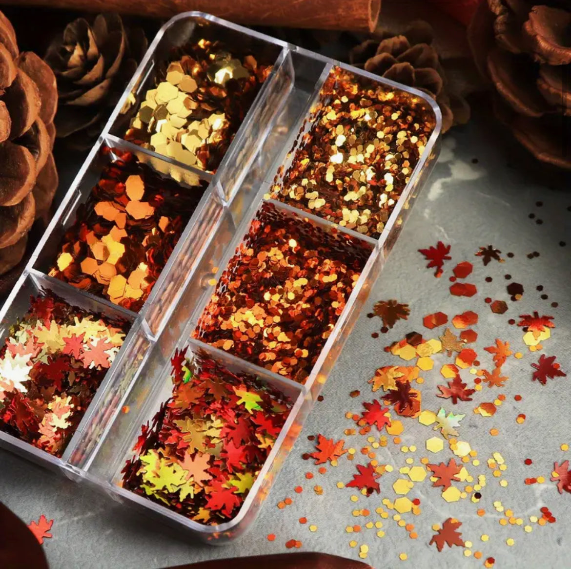 Décoration automnale 6 cases